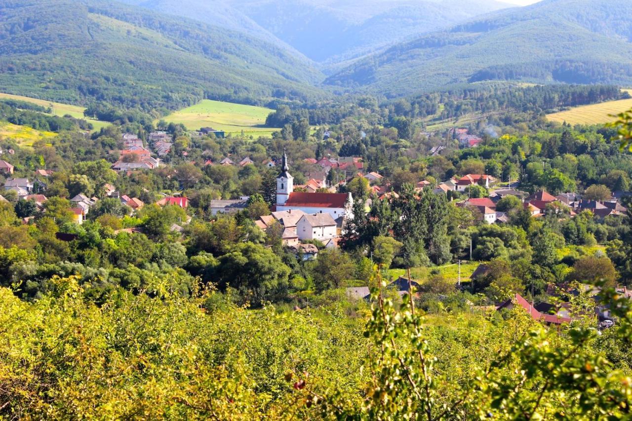 Antik Vendégház Nagyvisnyó Kültér fotó